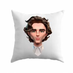 Подушка Timothée Chalamet - PrintSalon
