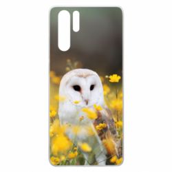 Чохол для Huawei P30 Pro Polar owl - PrintSalon