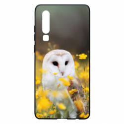Чохол для Huawei P30 Polar owl - PrintSalon
