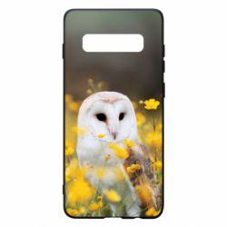 Чохол для Samsung S10+ Polar owl - PrintSalon