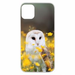 Чохол для iPhone 11 Pro Polar owl - PrintSalon