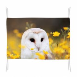 Прапор Polar owl - PrintSalon