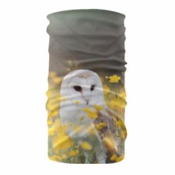 Бандана Polar owl - PrintSalon