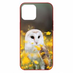 Чохол для iPhone 12 Pro Max Polar owl - PrintSalon