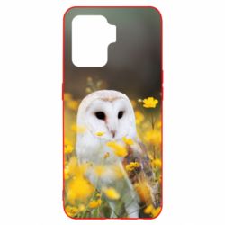 Чохол для Oppo Reno 5 Lite Polar owl - PrintSalon