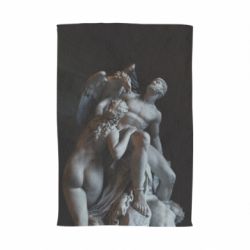 Рушник з принтом Greek statues - PrintSalon
