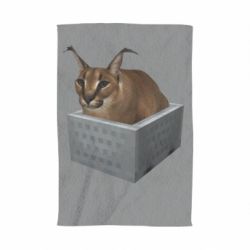 Полотенце с принтом Шлепа в тазике - PrintSalon