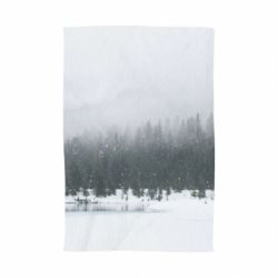 Рушник з принтом Winter forest - PrintSalon