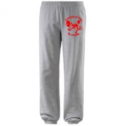 Штаны Powerlifting be Stronger-PrintSalon Штаны Powerlifting be Stronger