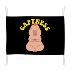 Прапор Capyness - PrintSalon