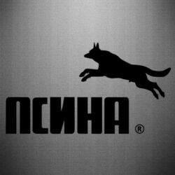 Наклейка Псіна