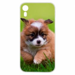 Чехол для iPhone XR Puppy dog - PrintSalon