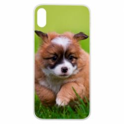 Чехол для iPhone Xs Max Puppy dog - PrintSalon