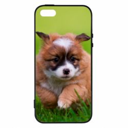 Чехол для iPhone5/5S/SE Puppy dog - PrintSalon
