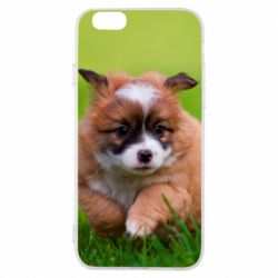 Чохол для iPhone 6/6S Puppy dog