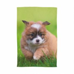 Полотенце с принтом Puppy dog - PrintSalon