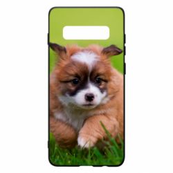 Чехол для Samsung S10+ Puppy dog - PrintSalon