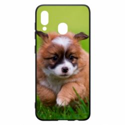 Чехол для Samsung A20 Puppy dog - PrintSalon