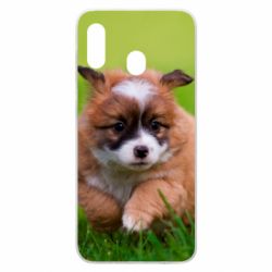 Чехол для Samsung A30 Puppy dog