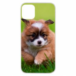 Чохол для iPhone 11 Pro Puppy dog