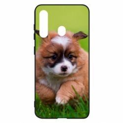 Чехол для Samsung M40 Puppy dog
