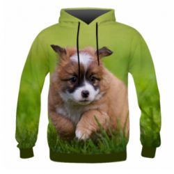 Мужское 3D худи Puppy dog - PrintSalon