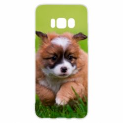 Чехол для Samsung S8 Puppy dog