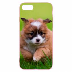 Чехол для iPhone SE 2020 Puppy dog - PrintSalon