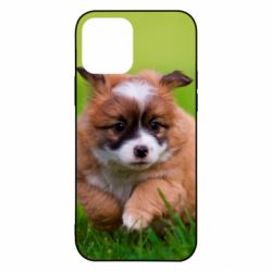 Чехол для iPhone 12 Pro Puppy dog