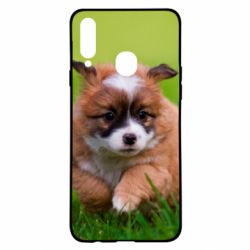 Чехол для Samsung A20s Puppy dog - PrintSalon