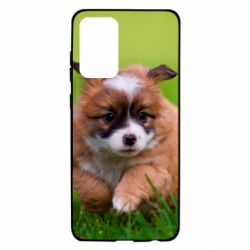Чехол для Samsung A72 5G Puppy dog - PrintSalon