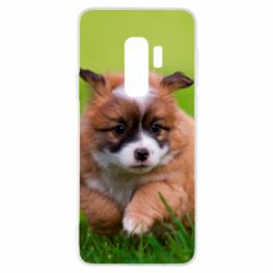 Чехол для Samsung S9+ Puppy dog - PrintSalon