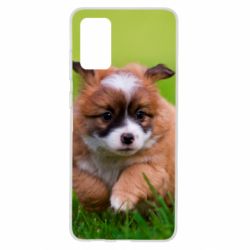 Чехол для Samsung S20+ Puppy dog - PrintSalon