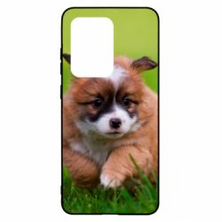 Чехол для Samsung S20 Ultra Puppy dog