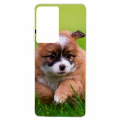 Чехол для Samsung S21 Ultra Puppy dog