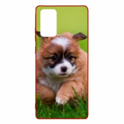 Чехол для Samsung Note 20 Puppy dog - PrintSalon