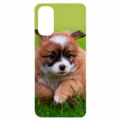 Чехол для Oppo Reno 4 Puppy dog
