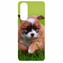 Чехол для Oppo Reno 4 Pro Puppy dog - PrintSalon