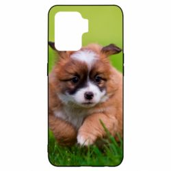 Чехол для Oppo Reno 5 Lite Puppy dog - PrintSalon