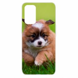Чехол для Oppo Reno 5 4G Puppy dog - PrintSalon