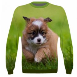 3D свитшот Puppy dog - PrintSalon