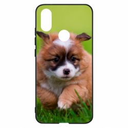 Чехол для Xiaomi Mi A2 Puppy dog - PrintSalon