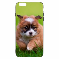 Чехол для iPhone 6 Plus/6S Plus Puppy dog