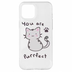 Чехол для iPhone 12 Pro Max Purrfect - PrintSalon