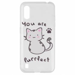 Чехол для Samsung A01/M01 Purrfect - PrintSalon