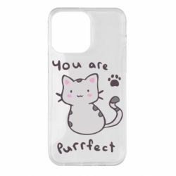 Чехол для iPhone 14 Pro Max Purrfect - PrintSalon