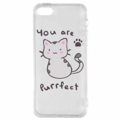 Чехол для iPhone5/5S/SE Purrfect - PrintSalon