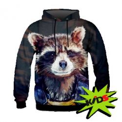 Дитяче 3D худі Raccoon