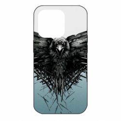 Чехол для iPhone 14 Pro Raven - PrintSalon