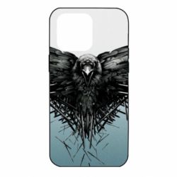 Чехол для iPhone 14 Pro Max Raven - PrintSalon